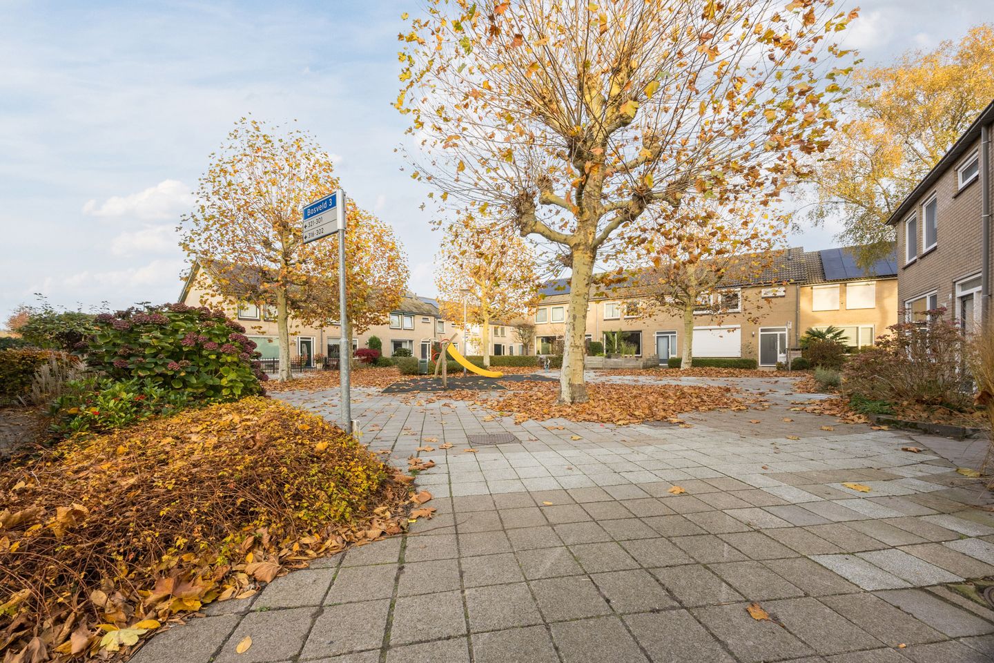 Foto 4 van Bosveld 424