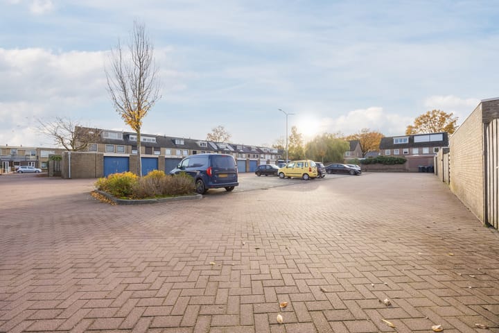 Photo 39 of Bosveld 424