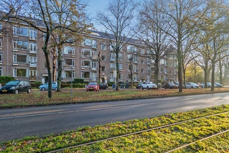 Burgemeester Elsenlaan thumbnail