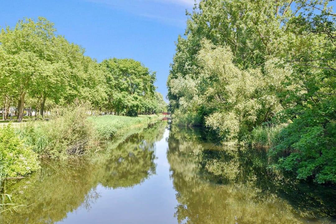 Photo 31 of Nederhoven 4