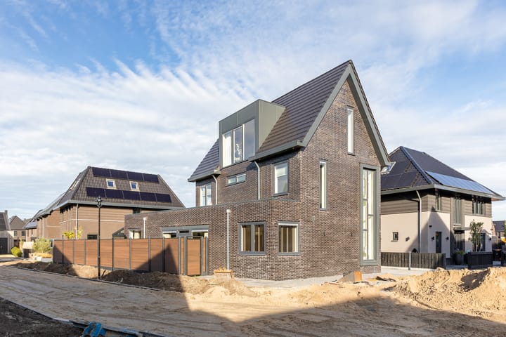 Aleksandr Prochorovstraat 30