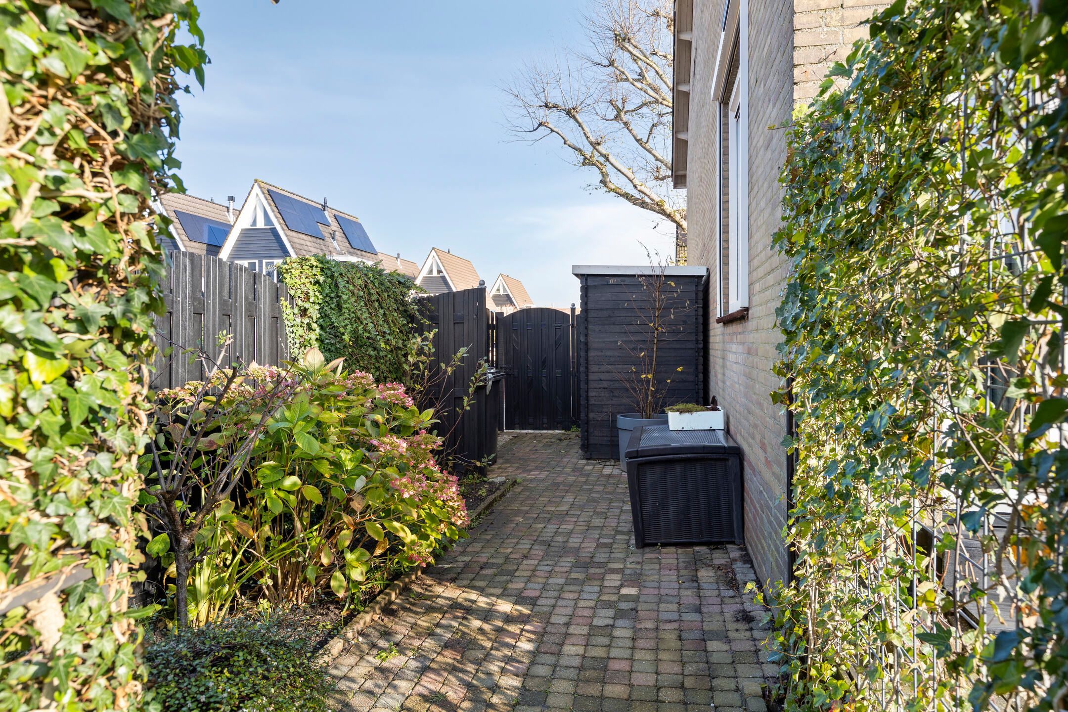 Foto 36 van Lijsterhof 12