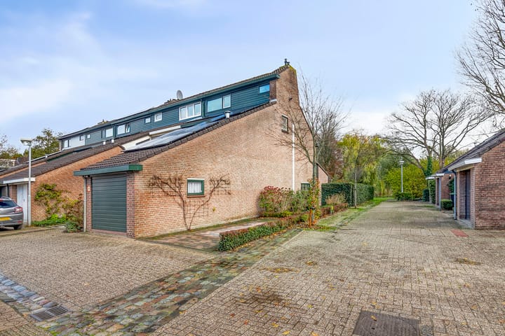 Photo 41 of Vlasweel 24