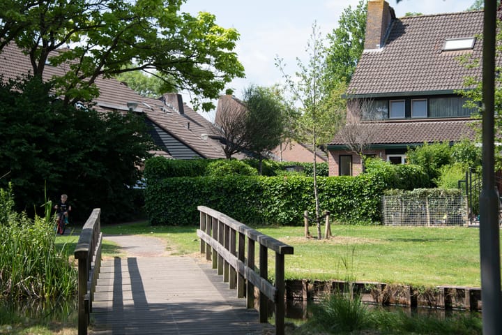 Photo 42 of Vlasweel 24