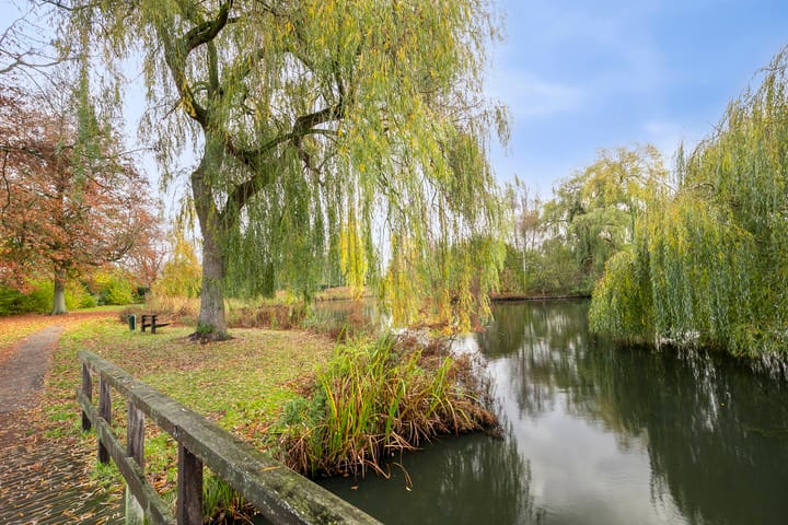 Photo 46 of Vlasweel 24