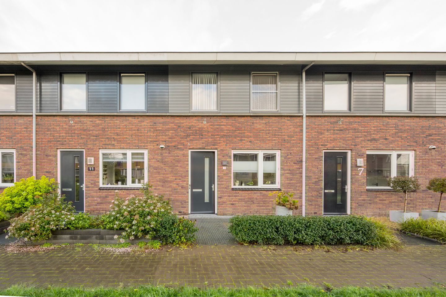 Foto 1 van Vuurvlinder 9