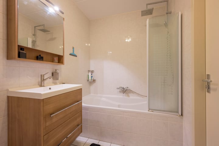 Foto 3 van Vuurvlinder 9