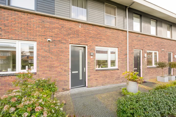 Foto 5 van Vuurvlinder 9