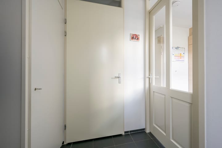 Foto 7 van Vuurvlinder 9