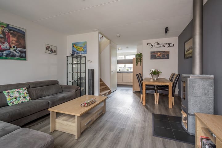 Foto 12 van Vuurvlinder 9