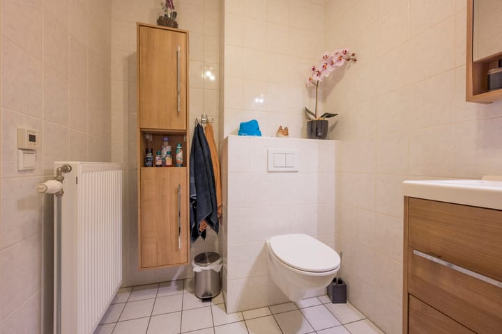 Foto 23 van Vuurvlinder 9