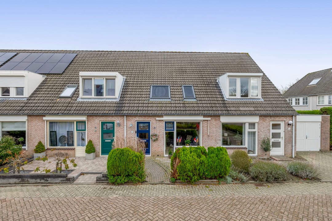 Foto 1 van Gerbera 17