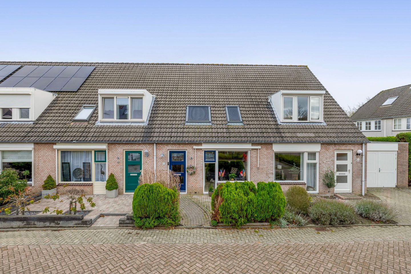 Photo 1 of Gerbera 17