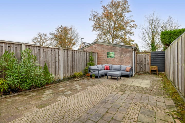 Photo 2 of Gerbera 17