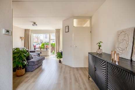 Gerbera 17 tertiary image