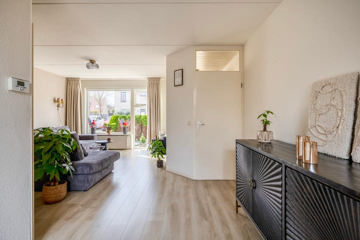 Photo 3 of Gerbera 17