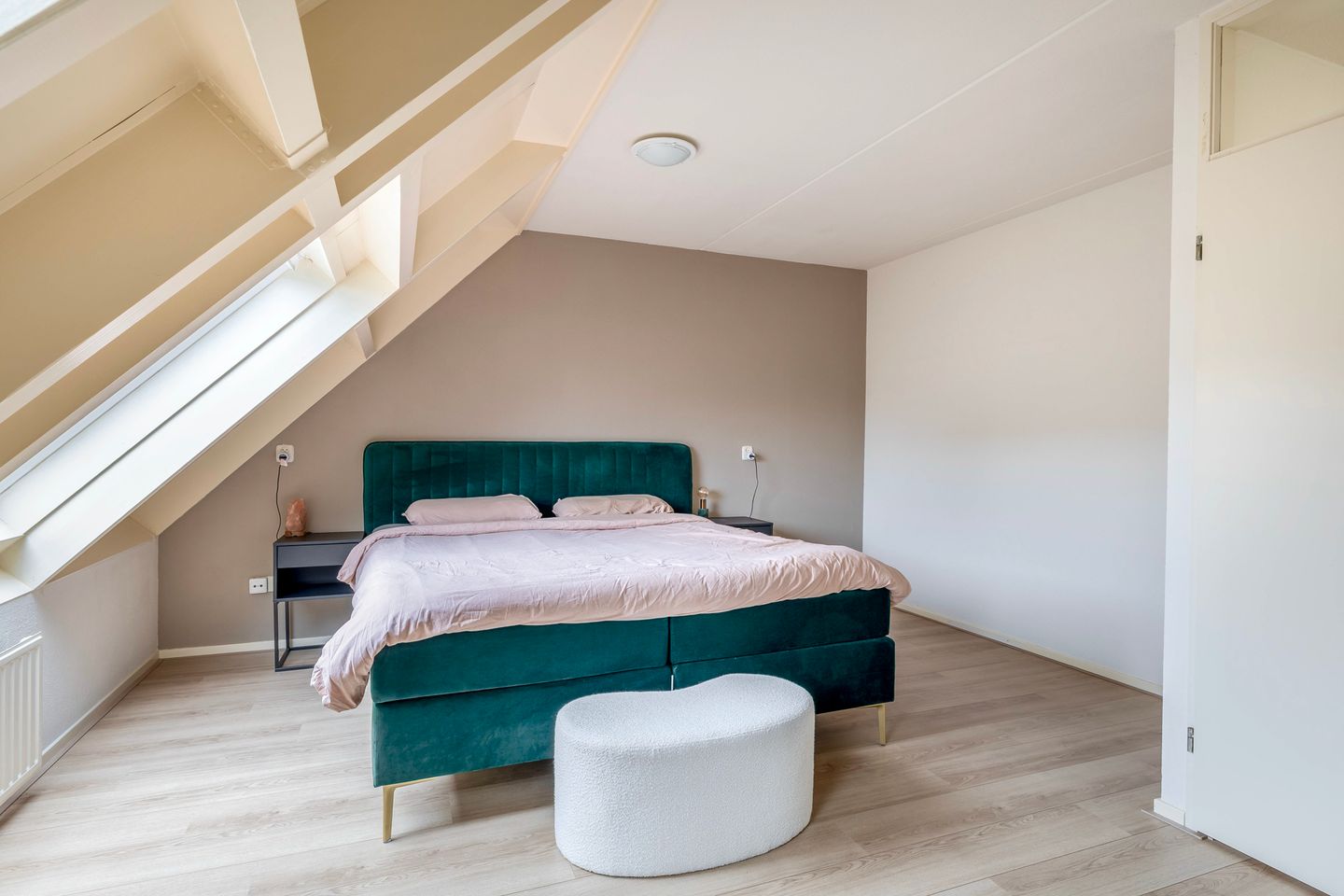 Foto 4 van Gerbera 17