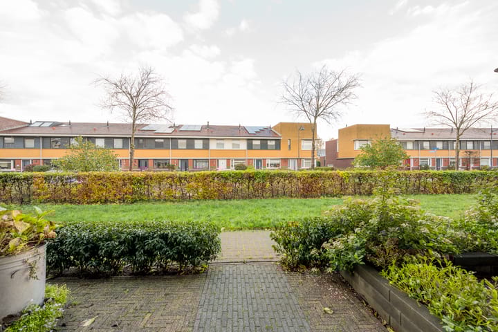 Foto 29 van Vuurvlinder 9