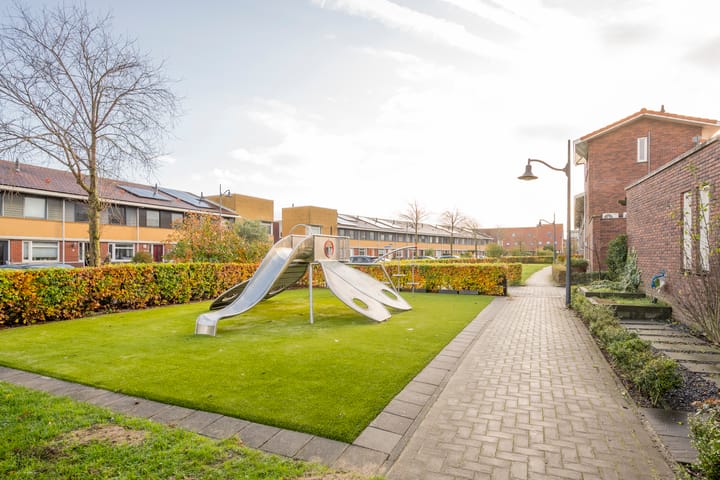 Foto 30 van Vuurvlinder 9