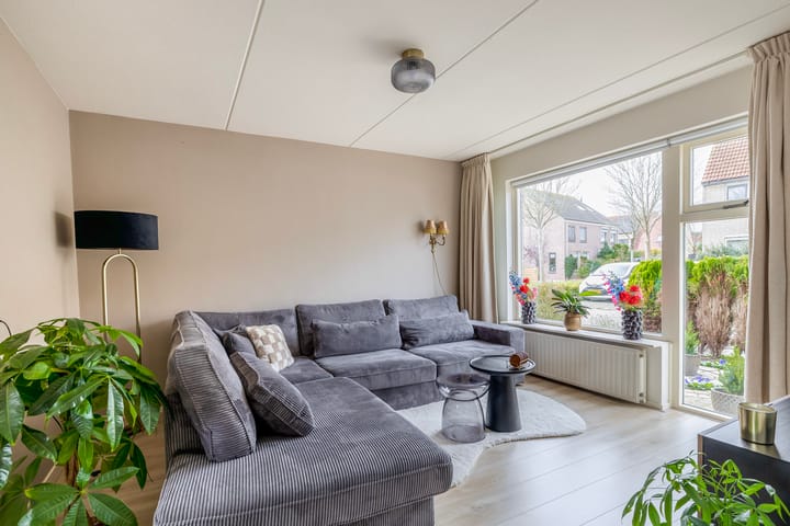 Foto 7 van Gerbera 17