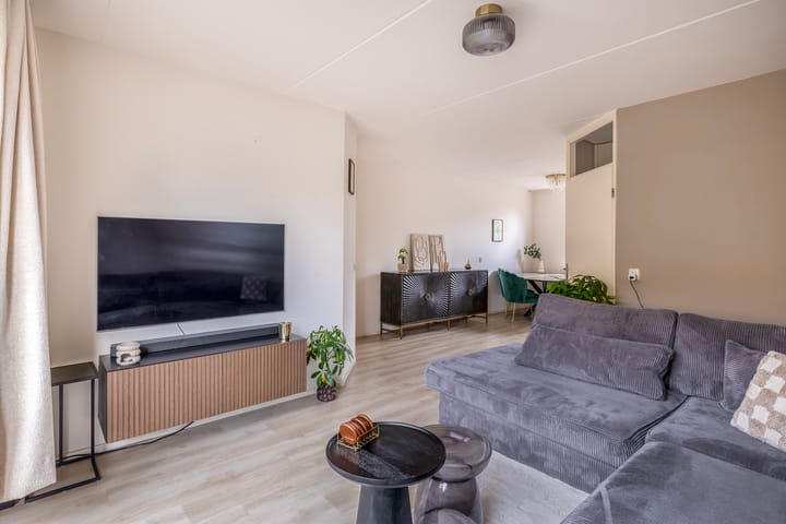 Foto 8 van Gerbera 17