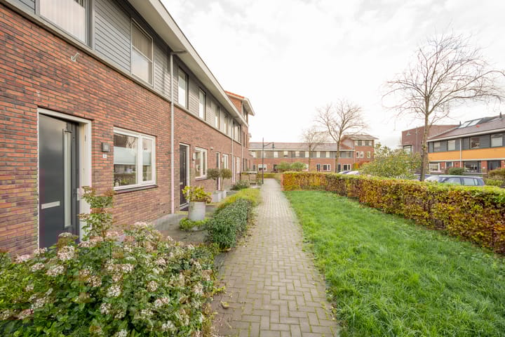 Foto 32 van Vuurvlinder 9