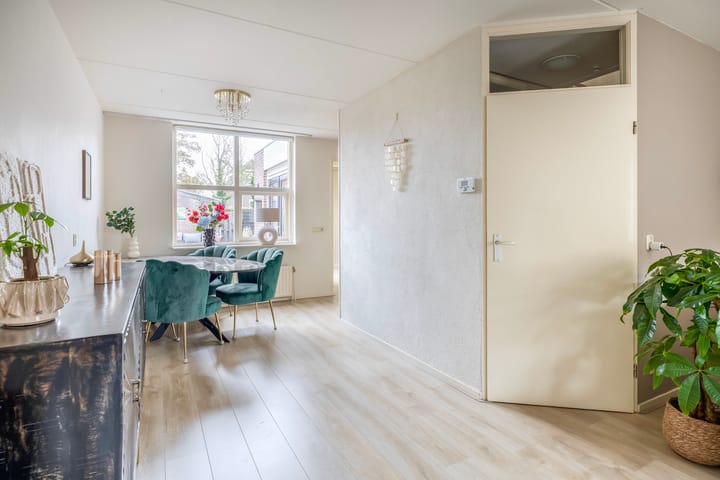 Foto 10 van Gerbera 17