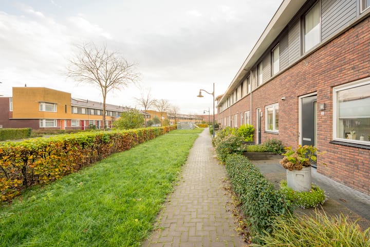 Foto 33 van Vuurvlinder 9