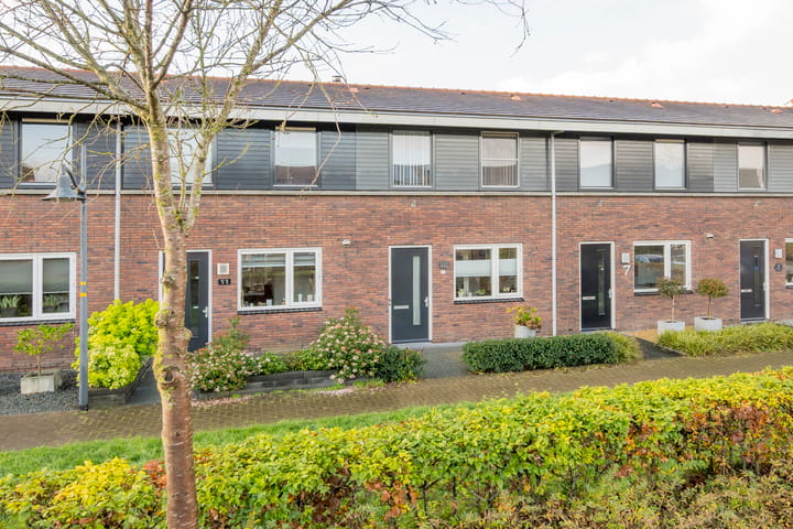 Foto 34 van Vuurvlinder 9