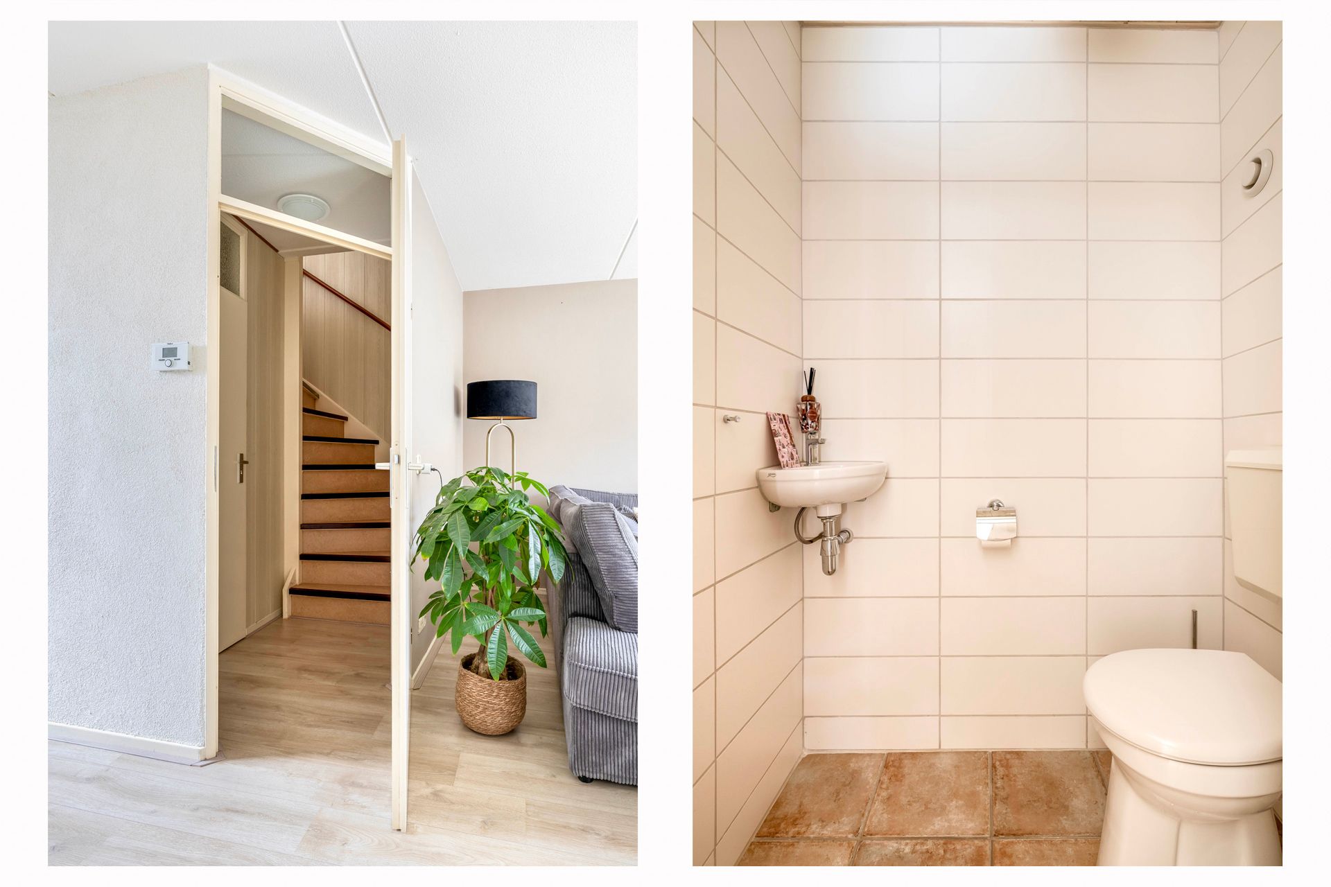 Foto 18 van Gerbera 17