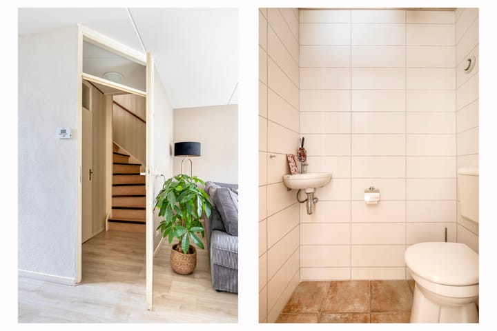 Foto 18 van Gerbera 17