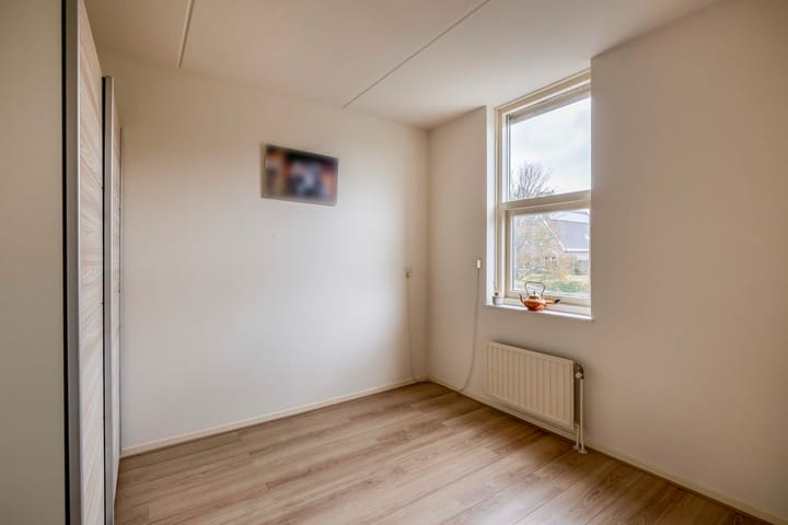 Foto 20 van Gerbera 17