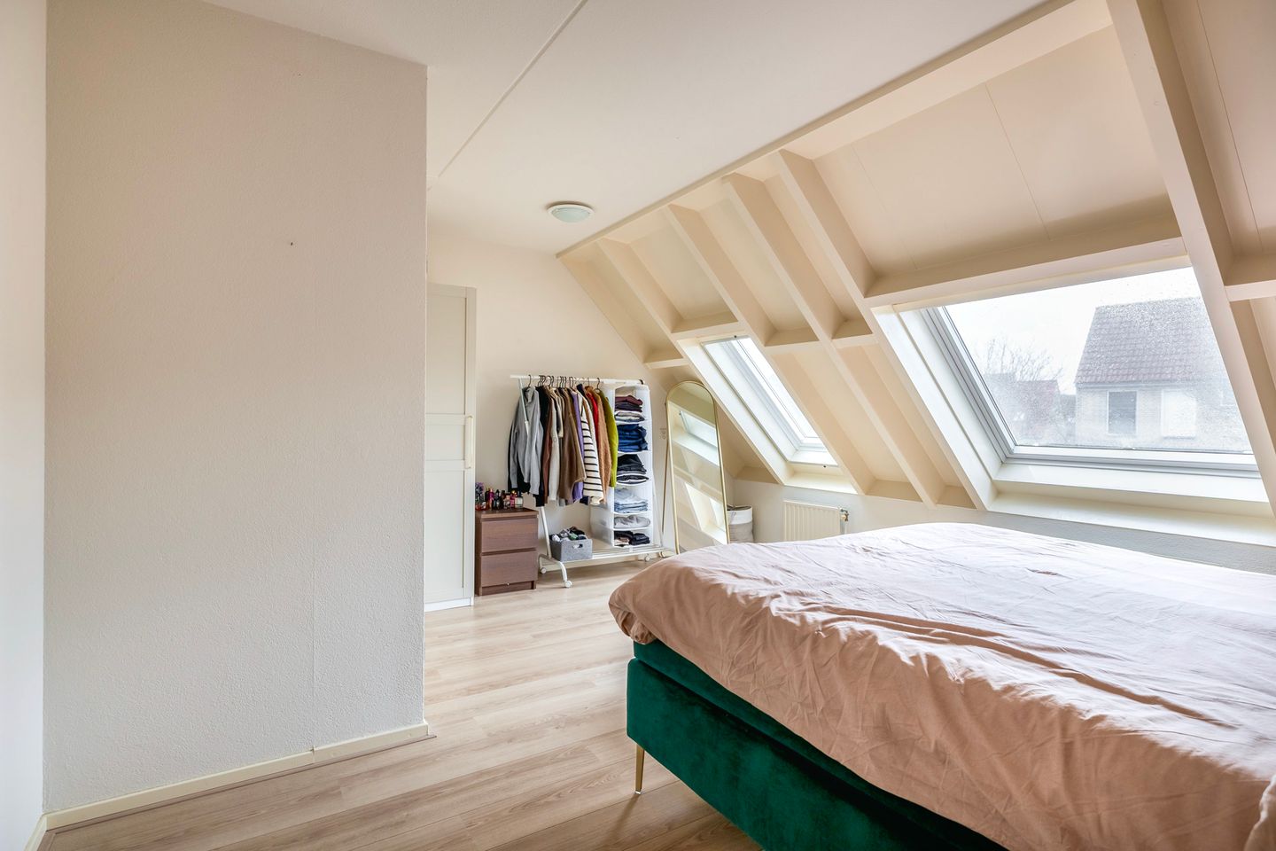 Foto 19 van Gerbera 17