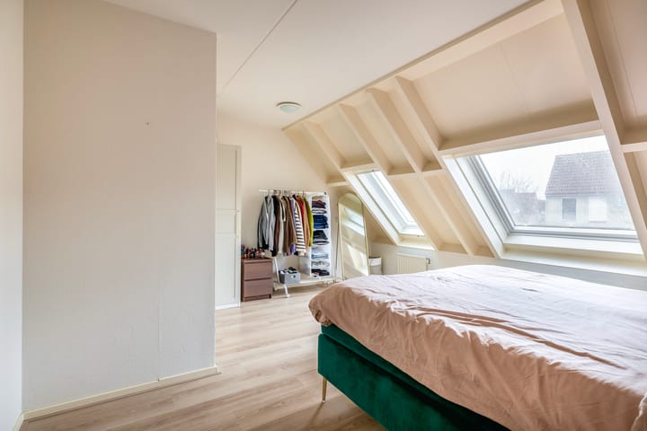 Foto 19 van Gerbera 17