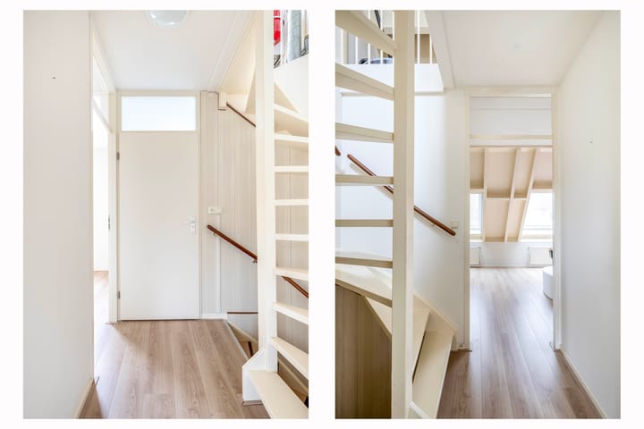 Foto 23 van Gerbera 17