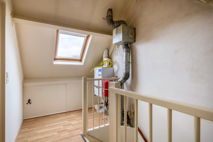 Foto 24 van Gerbera 17