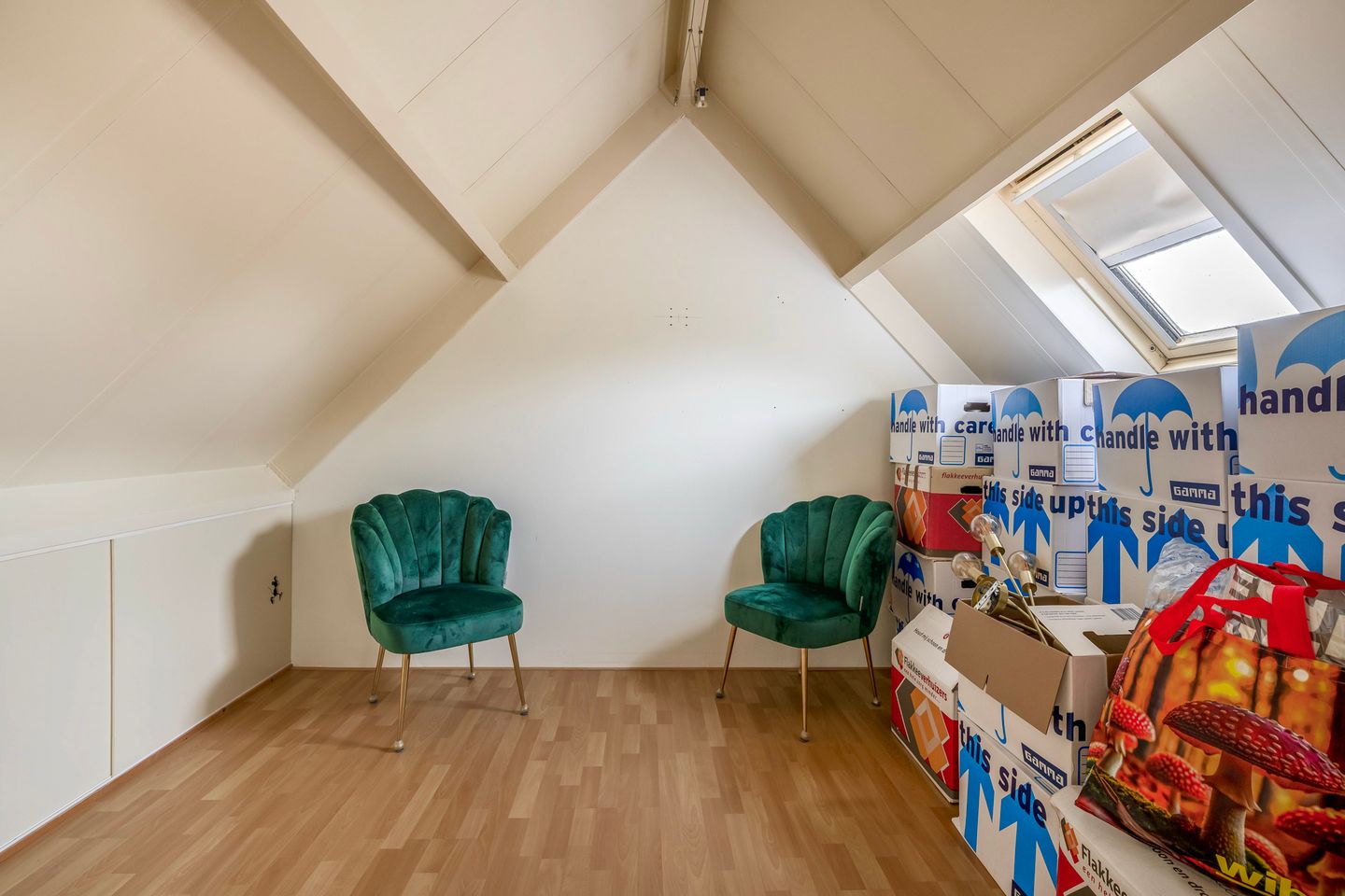 Foto 25 van Gerbera 17