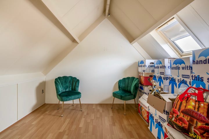 Foto 25 van Gerbera 17