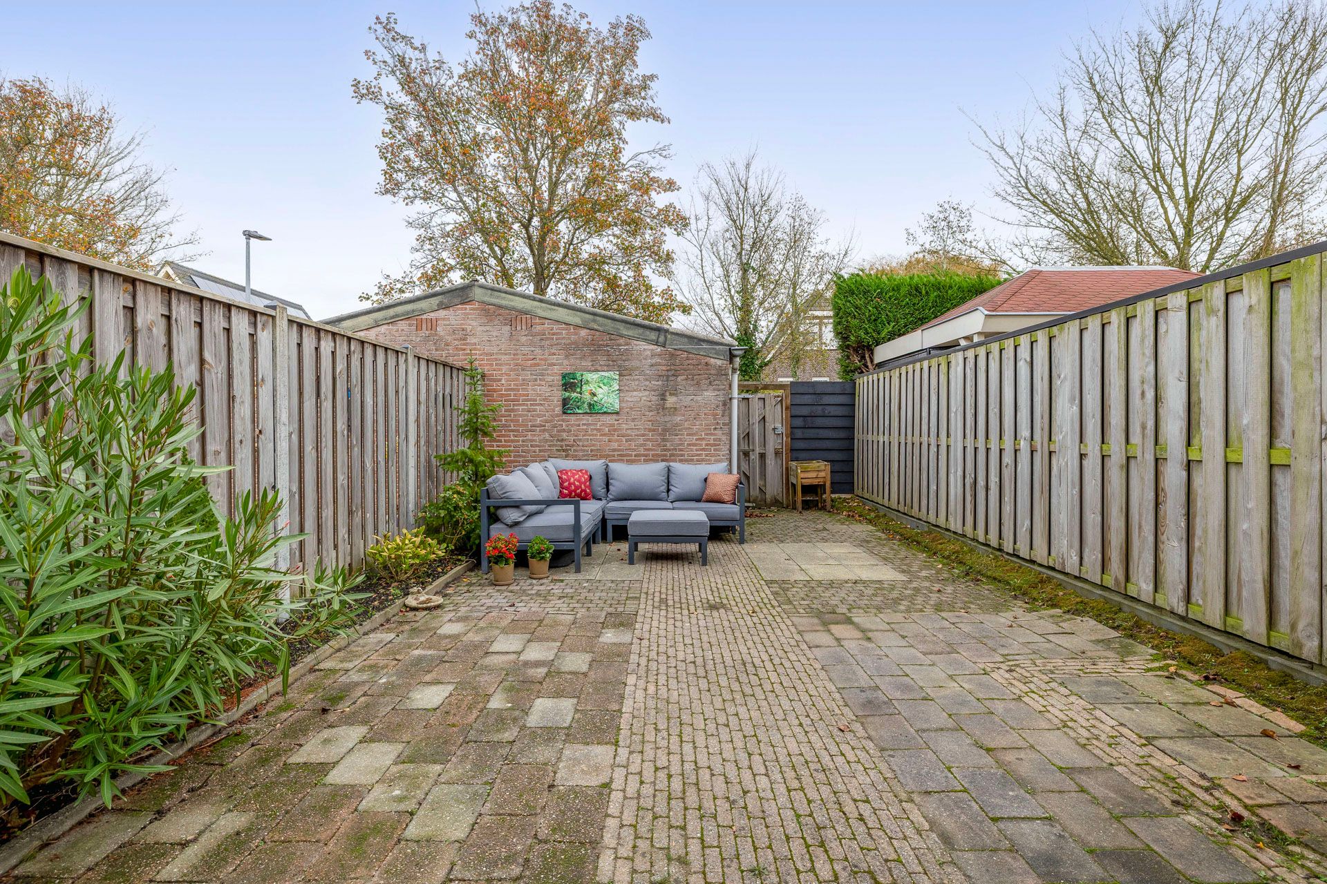 Foto 27 van Gerbera 17