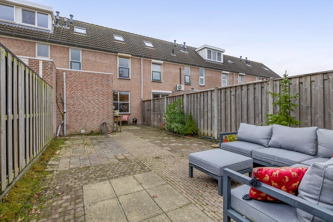 Foto 28 van Gerbera 17