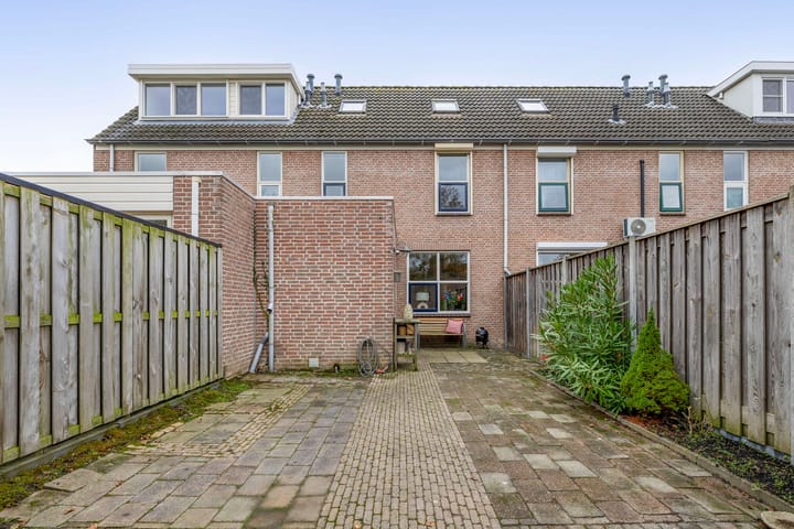 Foto 29 van Gerbera 17