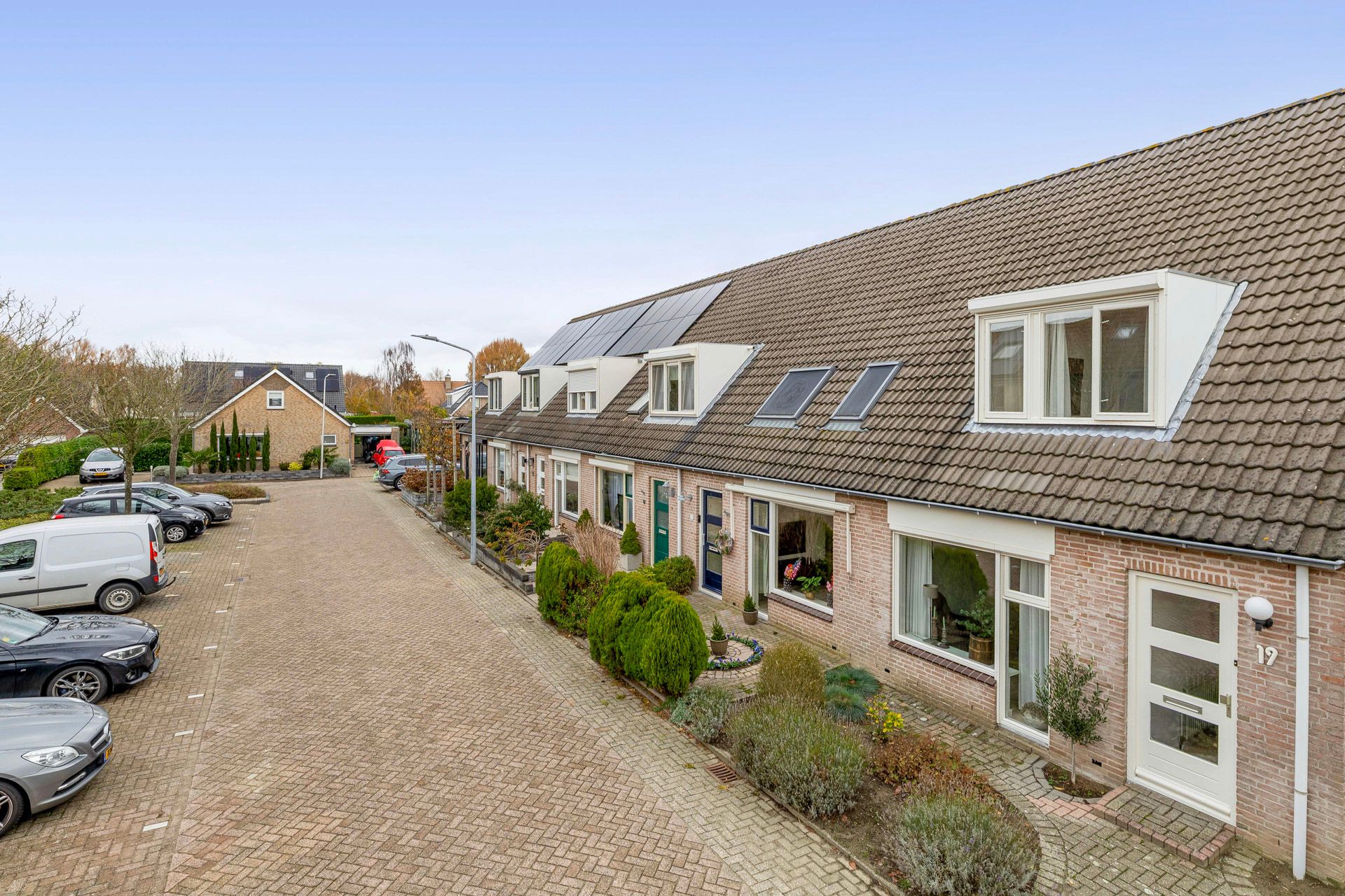 Foto 30 van Gerbera 17