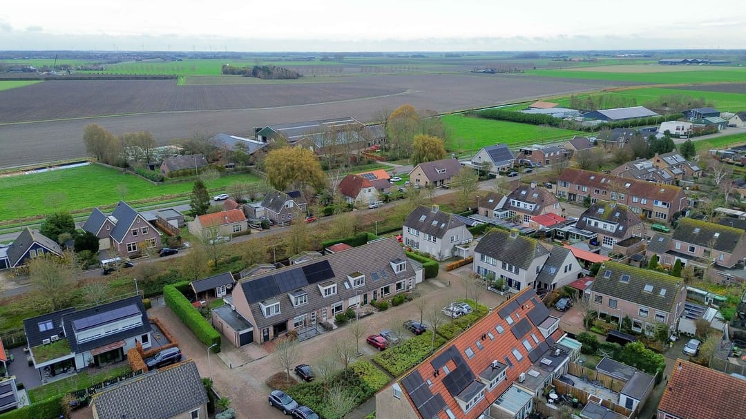 Foto 31 van Gerbera 17