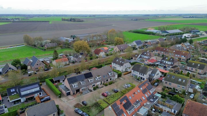 Foto 31 van Gerbera 17