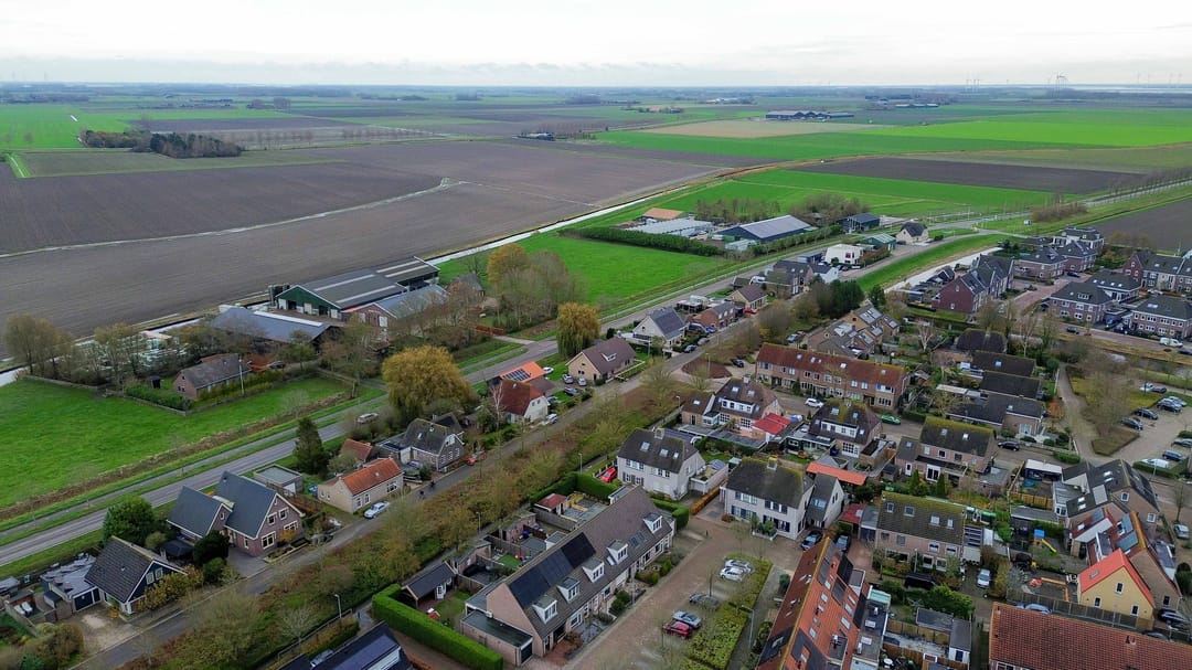 Foto 32 van Gerbera 17