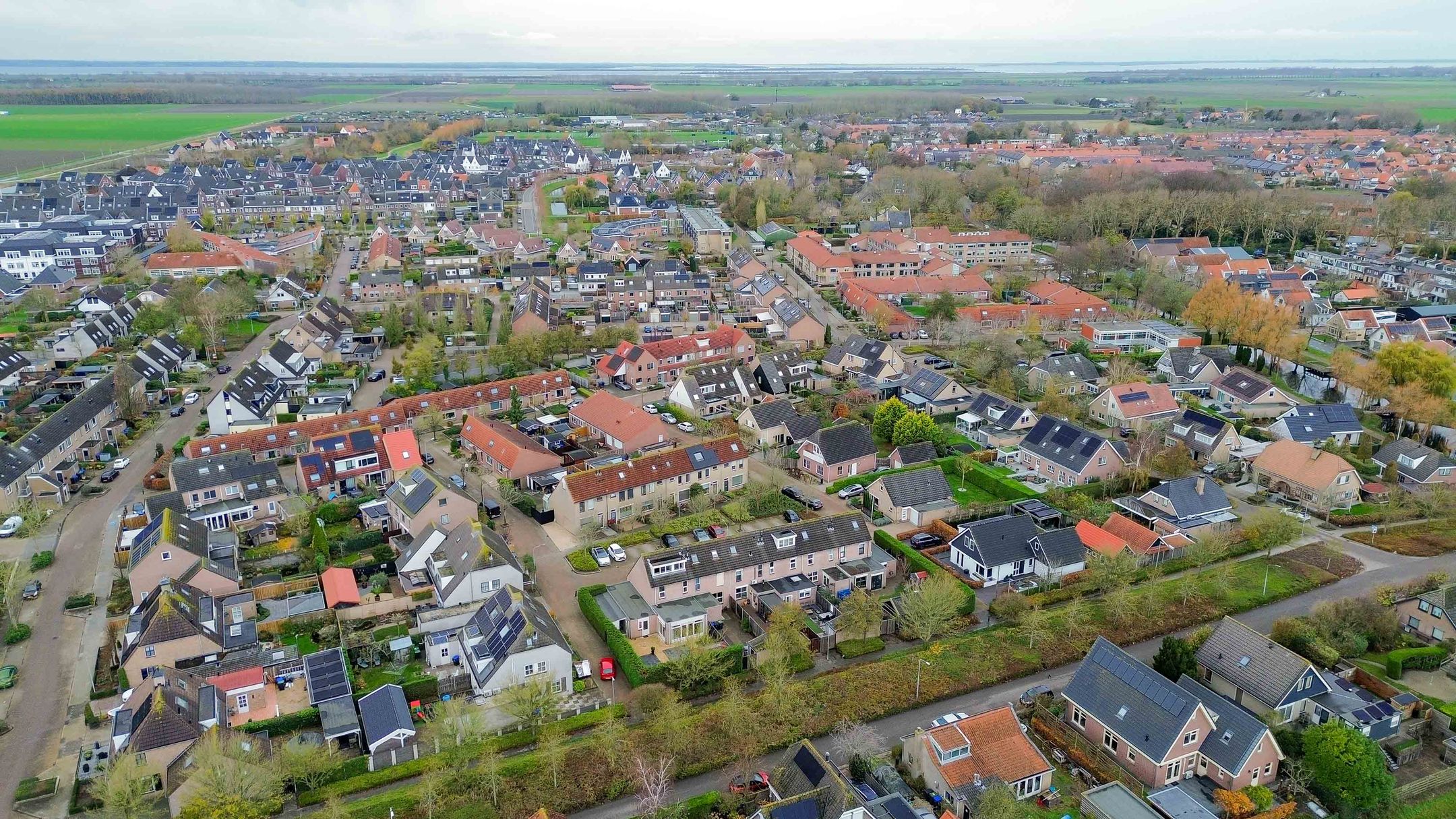 Foto 33 van Gerbera 17