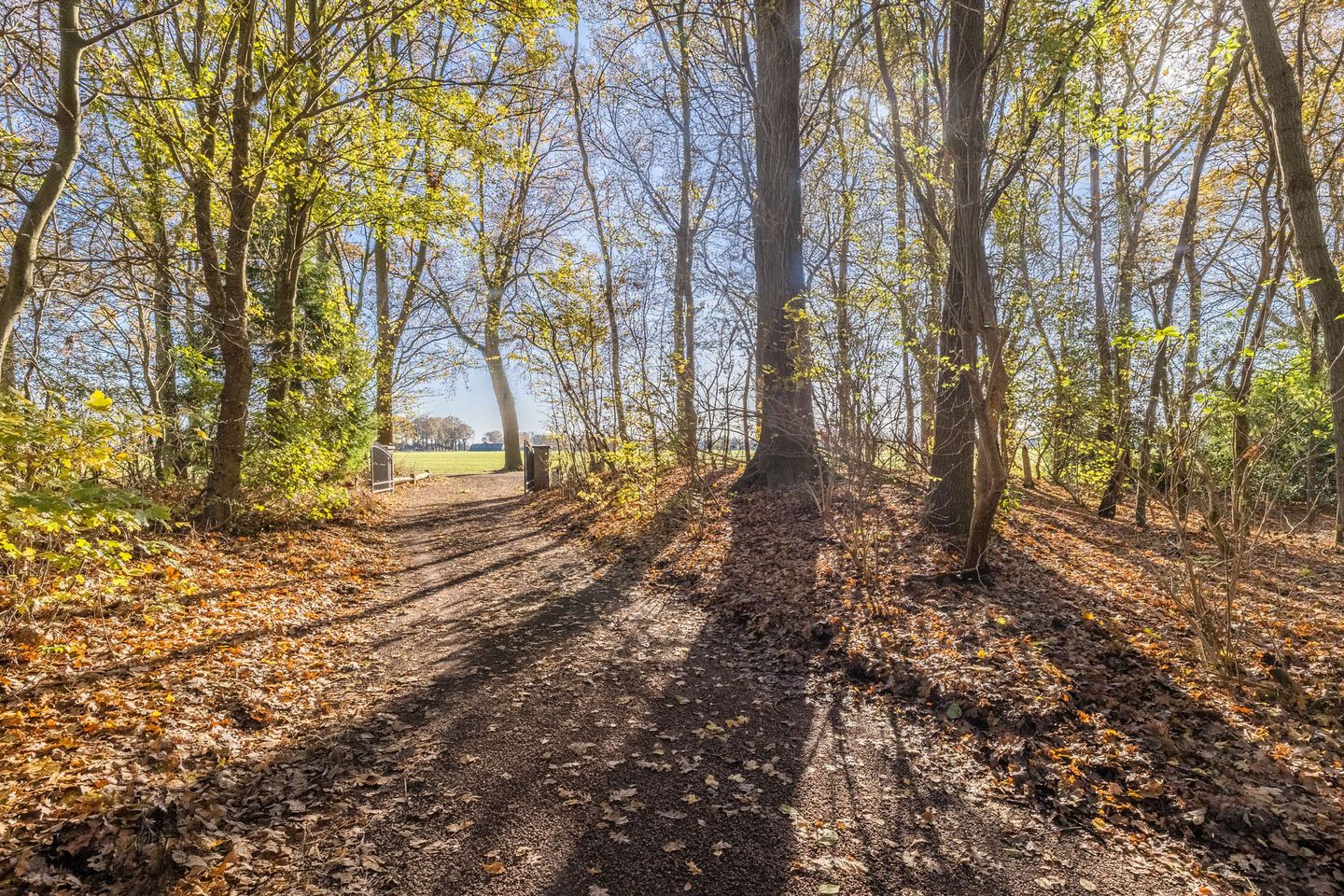 Foto 64 van Oude Zwolseweg 1