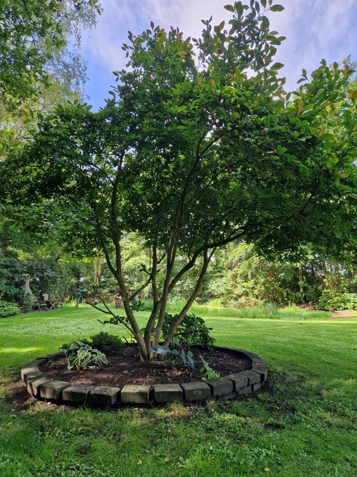 Foto 73 van Oude Zwolseweg 1