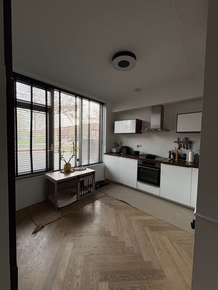 Foto 9 van Graspieper 45