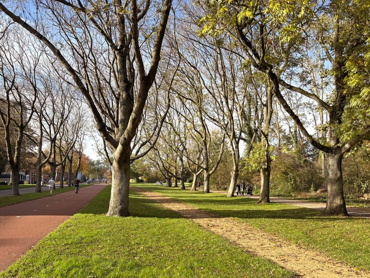 Foto 21 van IJsclubstraat 21-A02